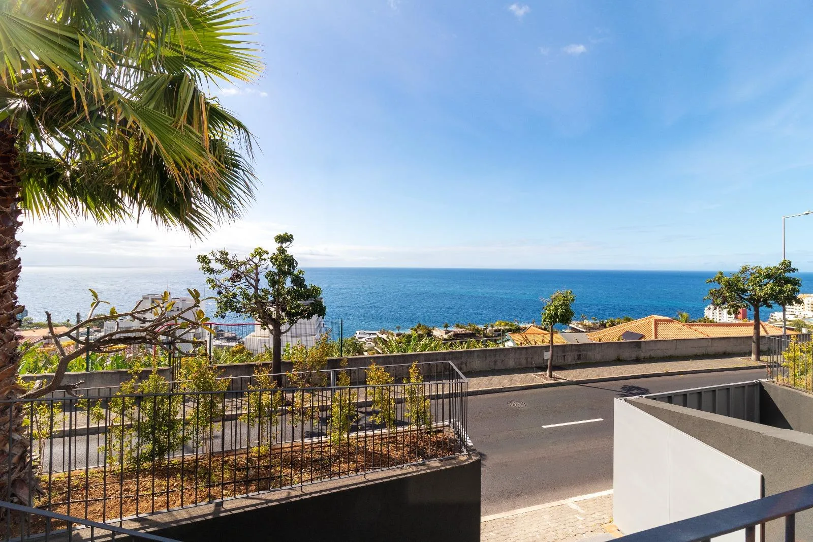 View past the palms from the upper terrace over the sea south of Funchal